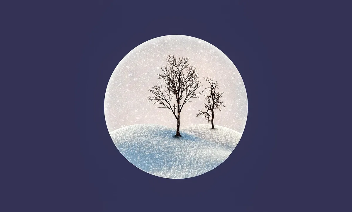 눈, 자연, 겨울, 나무, 눈 덩어리, 빈, 얼음, 온도, 냉, 언덕, 뿌리