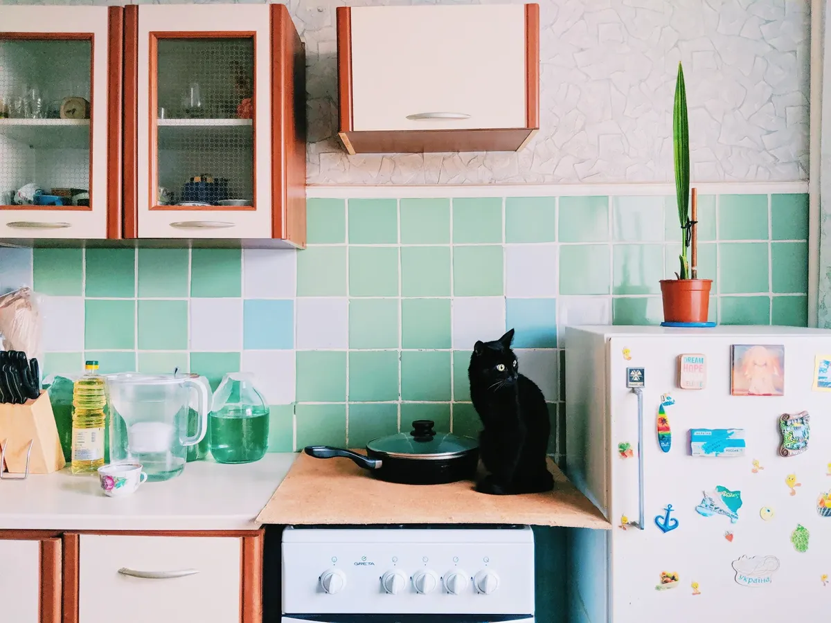 かわいらしい黒い猫が電気調理器の上に座り、キッチンにカップボードと調理器具が冷蔵庫の近くにあり、磁石が入った明るいアパートです