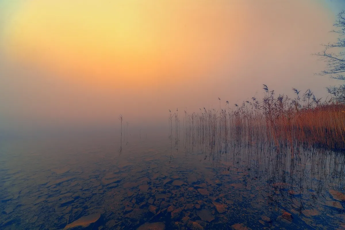 lake, fog, foggy, riverbank, water, nature, waters, mood, reflection, heaven, quiet, lighting mood, evening atmosphere, fog, foggy, foggy, foggy, foggy, foggy,